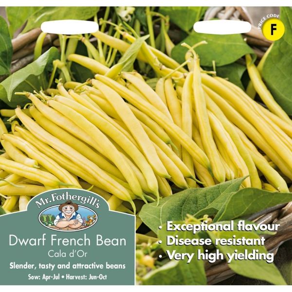 Dwarf French Bean Cala D'or Seeds